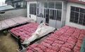 1500万次点击背后,邳州这对姐弟缘何成为网友心中暖光?
