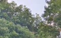 2026“健走中国”平顶山站落地画眉谷