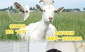 适配不同宝宝体质选奶,汇总公认婴儿奶粉口碑最好的前十名