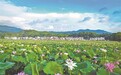 “赣莲”回赣,到2027年综合产值力争达150亿元