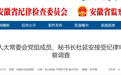 主动投案!安徽省人大常委会党组成员、秘书长杜延安被查