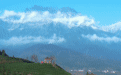 美丽中国行丨峨眉山—乐山大佛:山水藏韵 生灵共生