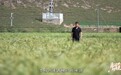 创新传播赋能品牌升级,华润啤酒“勇闯的力量”引领行业新范式