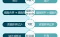 一图读懂丨高钾血症VS低钾血症