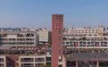 发挥场景优势 深圳推动人工智能 与民政服务融合