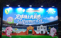 粤超|场内踢球,场外赶集!粤超汕尾赛事遇端午有多热闹?