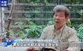 日本学者：日本放宽武器出口不利于地区和平稳定