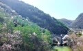 96%森林覆盖率平均气温20℃ 甘肃华亭天然氧舱藏不住了