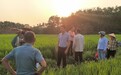 赓续百年红船初心 重塑基层战斗堡垒——北大镇丰丹村从软弱涣散到先进标杆党建振兴答卷