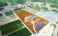建设国家乡村振兴示范县 甘肃肃州新画卷长这样
