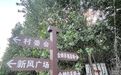 蝉鸣果香,徐州邳州夏日的限定BGM