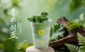 奶茶行业内卷加剧,丸摩堂凭硬核优势涅槃突围
