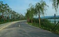 眉县滨河新区体育公园建成投用 市民休闲健身有了新地标