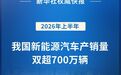 上半年我国新能源汽车产销量双超700万辆