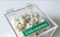 玉米秸秆变合成橡胶!山东万吨级“黑科技”产线,明年下半年投产