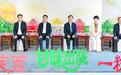 定西宽粉注册欧盟商标香飘海外 育百亿级“洋”产业