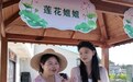 从莲田到直播间,广昌水果莲开采嘉年华线上线下“双丰收”