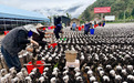 共同富裕乡村行 |“小菌棒”铺就产业致富路——喜德县拉克村木耳种植迎丰收