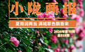 一池睡莲半城绿 甘肃两当美成了莫奈花园