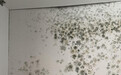 卓玛腻子:锚定儿童级健康赛道,以从底到面打破内卷