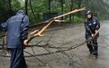 桂琼有序推进台风“美莎克”防御与恢复工作