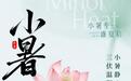 小暑湿热“上蒸下煮”,中医专家送上防暑祛湿养生指南