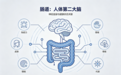 lifespace益倍适益生菌:健康,从守护肠胃开始