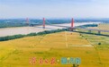 泉城沃野好“丰”景,乡村振兴路子宽