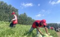 这波操作“顶瓜瓜”！郑州富士康超万斤爱心西瓜惠及员工与瓜农