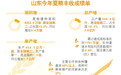 夏粮连续四年“三增”,山东是如何做到的