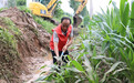 枣庄市山亭区成功应对历史最强降雨:众志成城筑防线 平稳度汛护民生