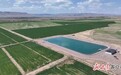 地下水位止降回升　甘肃一市治理超采细“节”拉满