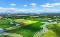泰和县:渠水充盈保夏灌(图)