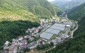 走出杨凌看示范|杨凌科技润秦岭 循环种养铺就金米共富路