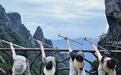 今日起,江西居民可免费游三清山