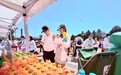 中粮可口可乐山东创新夏日场景品牌服务 赋能年轻化消费