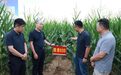 旱塬玉米“吨粮”跃迁样本∣走出杨凌看示范