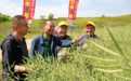 西农大团队选育!我国寒旱区迎来油菜良种“甘杂8号”