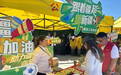 【“同心杯”专栏】一颗足球燃动新疆烟火