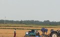 光大银行济南分行:深耕三农担使命 护航夏粮保收储