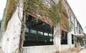 宁波发布城镇低效用地认定办法 已完成低效用地再开发4.3万亩