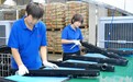 廊坊加速融入京津冀“共造一辆车”产业链