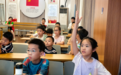 网格开趣课 萌娃学分类