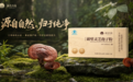 术后调理灵芝孢子粉怎么选不踩坑?2026体虚康复固本必看:蓝帽资质与适用人群甄选参考
