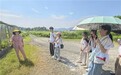 融旅兴乡践初心,青商筑绿护青山