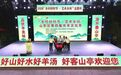 “乡村好时节·艺术乡间”山亭区第四届伏羊文化季启幕