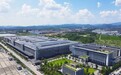 王力2025年市场占有率稳居行业首位,2026年剑指30%以上 年产能数据600万樘!
