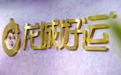龙城好运:以“全维生态”重塑家庭服务,定义行业新质生产力