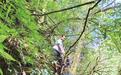 钓鱼佬进山两日未归 村民报警救回一条命