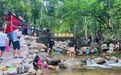 去平江山野撒欢!才是夏日遛娃的正确打开方式